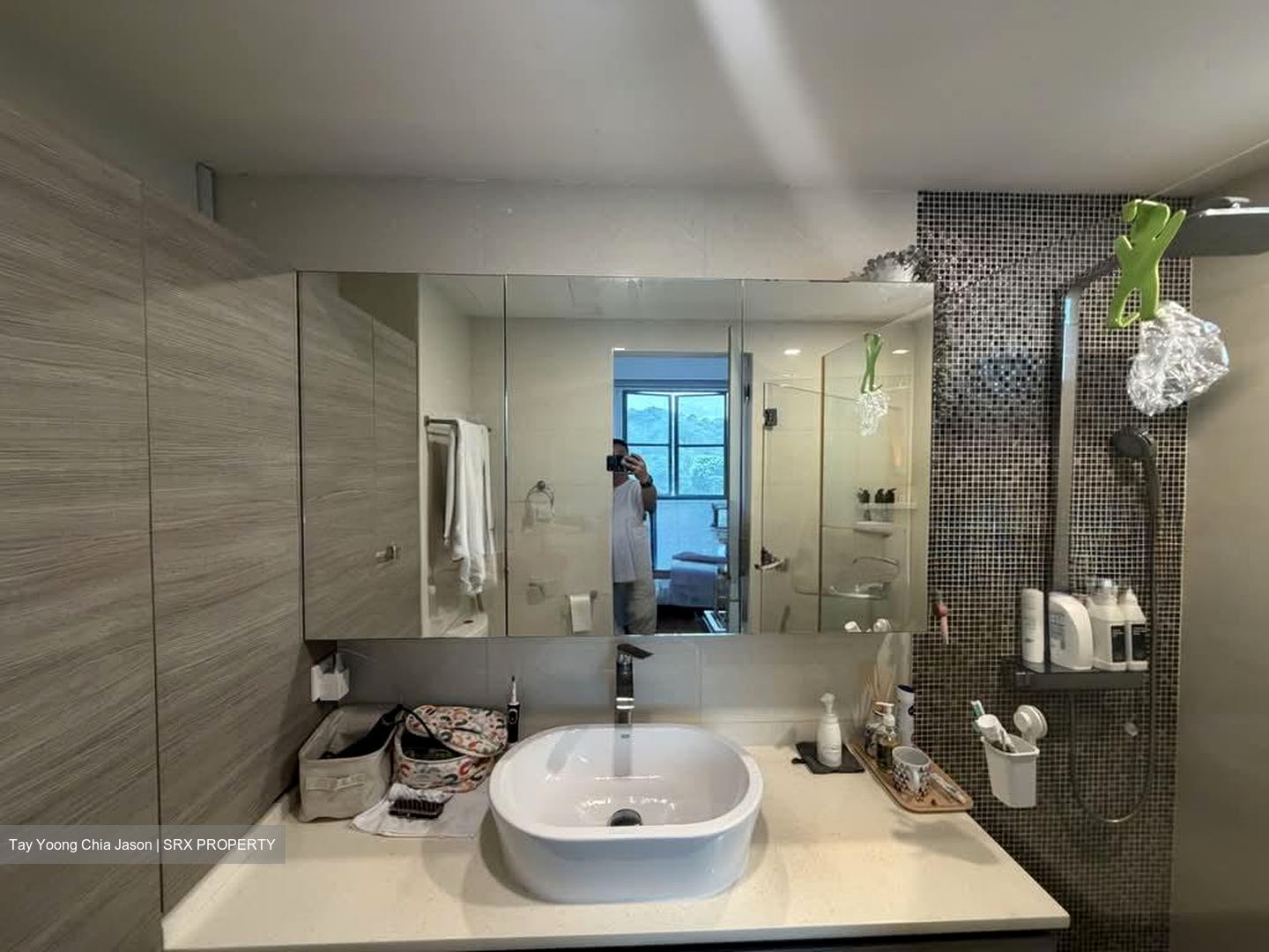 Springdale Condominium (D21), Condominium #581137991